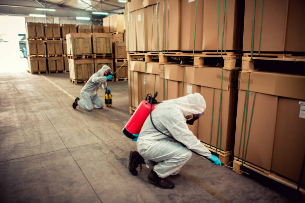 Best Rat Extermination Near Me  in Ann Arbor, MI