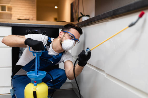 Best Affordable Pest Control Services  in Ann Arbor, MI