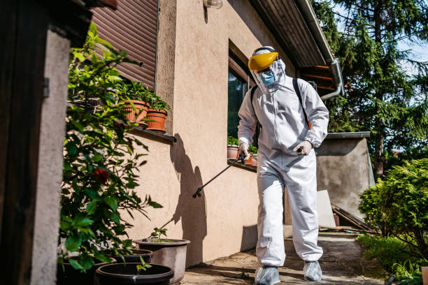 Reliable Ann Arbor, MI Pest Control Solutions