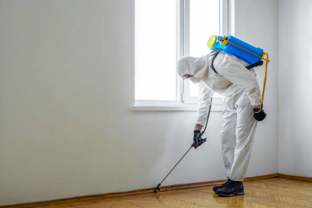 Best Residential Pest Control  in Ann Arbor, MI