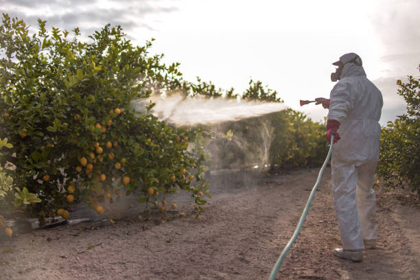 Best Pest Inspection Near Me  in Ann Arbor, MI