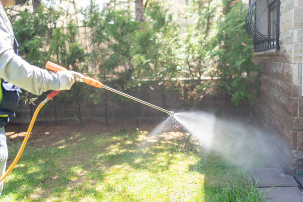 Best Wasp Removal Services  in Ann Arbor, MI