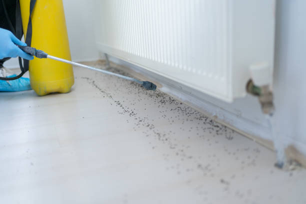 Best Local Pest Control Services  in Ann Arbor, MI