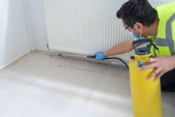 Best Affordable Pest Control Services  in Ann Arbor, MI
