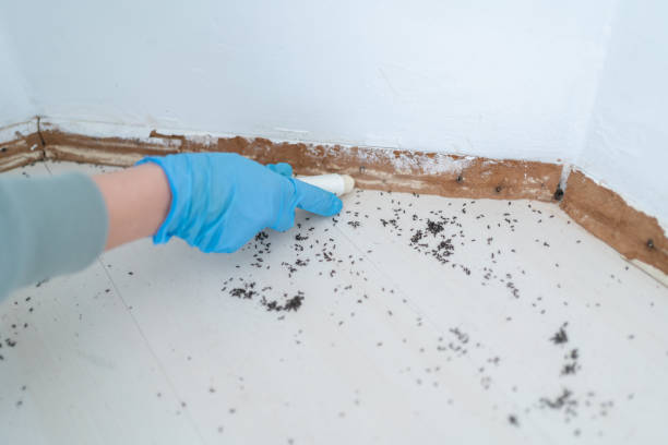 Best Mosquito Control Services  in Ann Arbor, MI